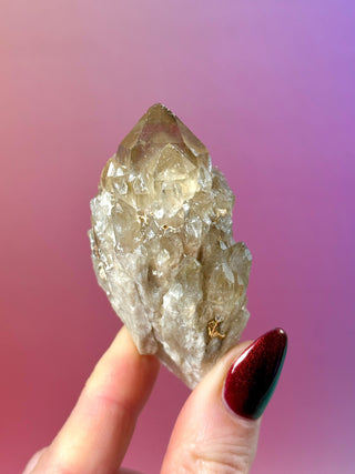 KUNDALINI CITRINE - A QUALITY (A) The Crystal Avenues 