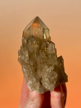 KUNDALINI CITRINE - A QUALITY (B) Cluster The Crystal Avenues 