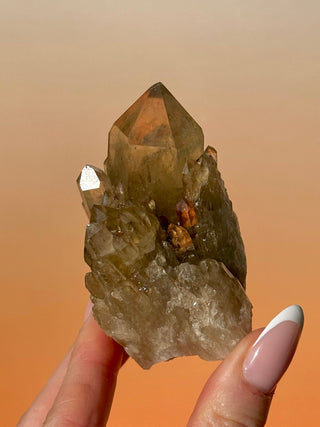 KUNDALINI CITRINE - A QUALITY (B) Cluster The Crystal Avenues 