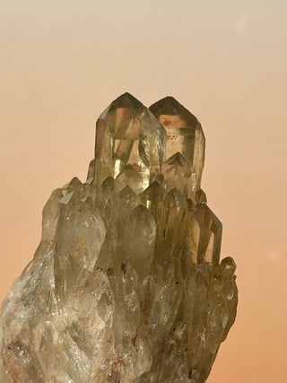 KUNDALINI CITRINE - A QUALITY (C) Cluster The Crystal Avenues 