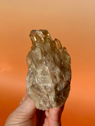 KUNDALINI CITRINE - A QUALITY (C) Cluster The Crystal Avenues 