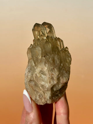 KUNDALINI CITRINE - A QUALITY (C) Cluster The Crystal Avenues 
