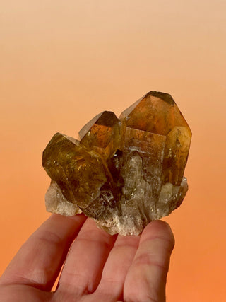 KUNDALINI CITRINE - A QUALITY (D) Cluster The Crystal Avenues 