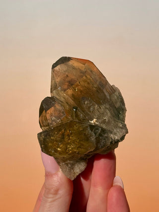 KUNDALINI CITRINE - A QUALITY (D) Cluster The Crystal Avenues 