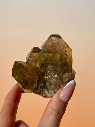 KUNDALINI CITRINE - A QUALITY (D) Cluster The Crystal Avenues 
