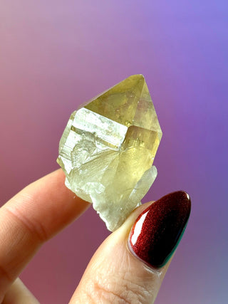 KUNDALINI CITRINE - A QUALITY (D) The Crystal Avenues 