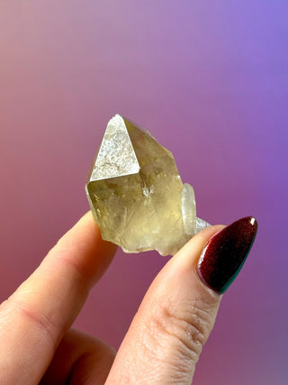 KUNDALINI CITRINE - A QUALITY (D) The Crystal Avenues 