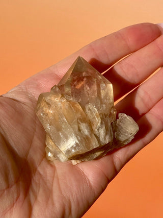 KUNDALINI CITRINE - A QUALITY (E) Cluster The Crystal Avenues 