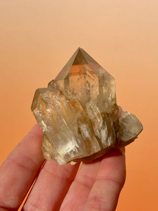 KUNDALINI CITRINE - A QUALITY (E) Cluster The Crystal Avenues 