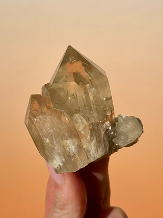 KUNDALINI CITRINE - A QUALITY (E) Cluster The Crystal Avenues 