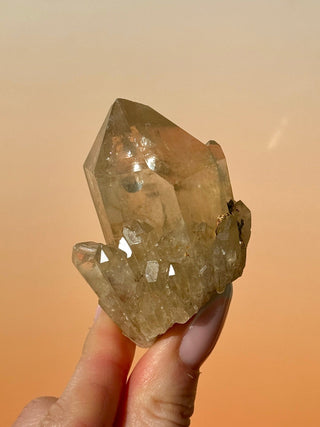 KUNDALINI CITRINE - A QUALITY (F) Cluster The Crystal Avenues 