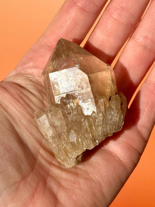 KUNDALINI CITRINE - A QUALITY (F) Cluster The Crystal Avenues 