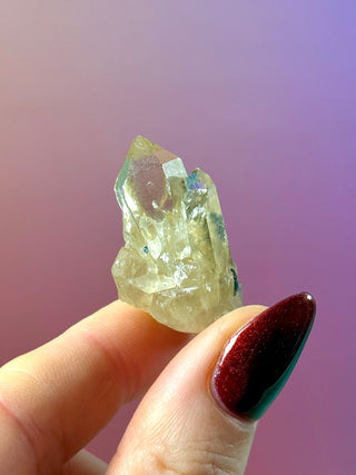 KUNDALINI CITRINE - A QUALITY (F) The Crystal Avenues 