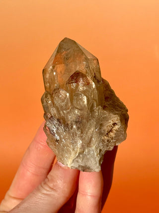 KUNDALINI CITRINE - A QUALITY (G) Cluster The Crystal Avenues 