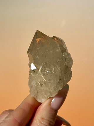 KUNDALINI CITRINE - A QUALITY (I) Cluster The Crystal Avenues 