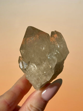 KUNDALINI CITRINE - A QUALITY (I) Cluster The Crystal Avenues 