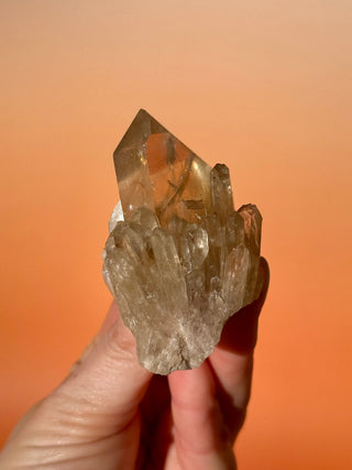 KUNDALINI CITRINE - A QUALITY (J) Cluster The Crystal Avenues 
