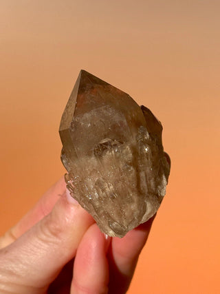KUNDALINI CITRINE - A QUALITY (M) Cluster The Crystal Avenues 
