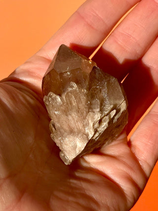 KUNDALINI CITRINE - A QUALITY (M) Cluster The Crystal Avenues 
