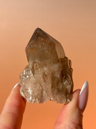 KUNDALINI CITRINE - A QUALITY (M) Cluster The Crystal Avenues 