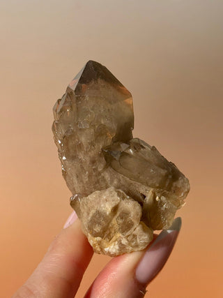 KUNDALINI CITRINE - A QUALITY (N) Cluster The Crystal Avenues 