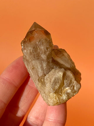 KUNDALINI CITRINE - A QUALITY (N) Cluster The Crystal Avenues 