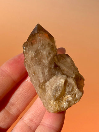 KUNDALINI CITRINE - A QUALITY (N) Cluster The Crystal Avenues 