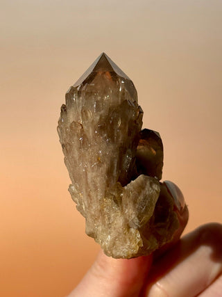 KUNDALINI CITRINE - A QUALITY (N) Cluster The Crystal Avenues 
