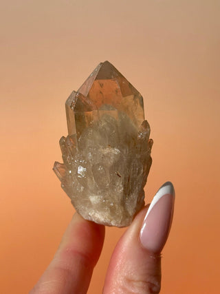 KUNDALINI CITRINE - A QUALITY (O) Cluster The Crystal Avenues 