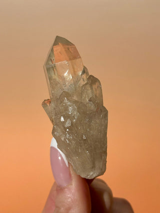 KUNDALINI CITRINE - A QUALITY (P) Cluster The Crystal Avenues 