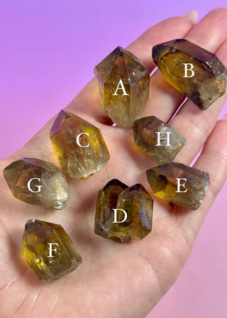 KUNDALINI CITRINE MINI POINT The Crystal Avenues 