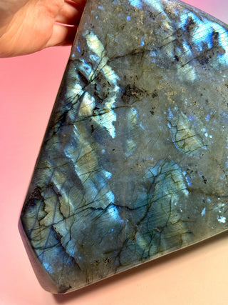 LABRADORITE FREEFORM XL (1) tumble stone The Crystal Avenues 
