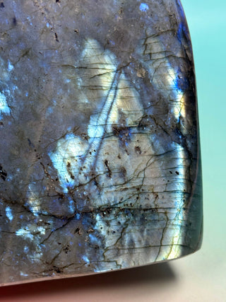 LABRADORITE FREEFORM XL (1) tumble stone The Crystal Avenues 