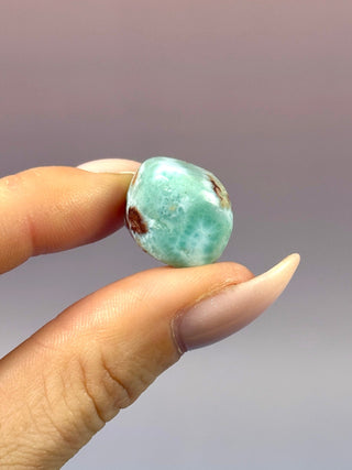 LARIMAR (10) Tumble Stone The Crystal Avenues 