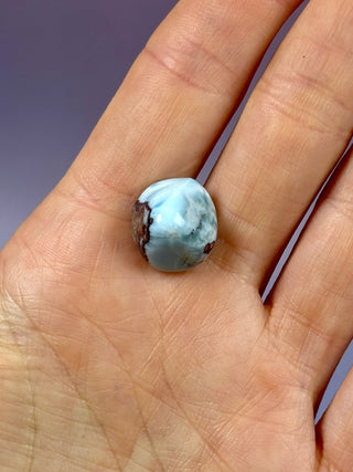 LARIMAR (12) Tumble Stone The Crystal Avenues 