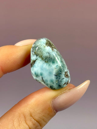 LARIMAR (4) Tumble Stone The Crystal Avenues 