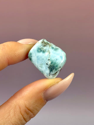 LARIMAR (7) Tumble Stone The Crystal Avenues 
