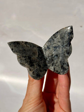 LARVIKITE BUTTERFLY (1) Heart The Crystal Avenues 