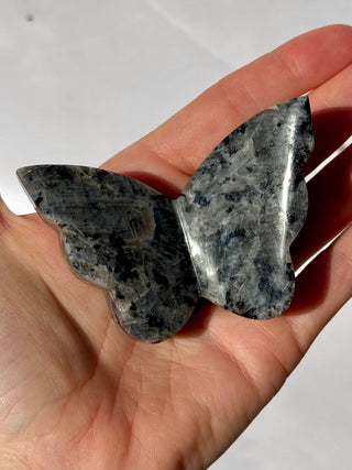 LARVIKITE BUTTERFLY (1) Heart The Crystal Avenues 