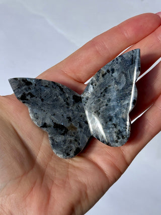LARVIKITE BUTTERFLY (2) Heart The Crystal Avenues 