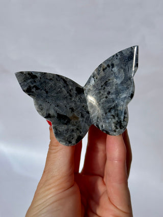 LARVIKITE BUTTERFLY (2) Heart The Crystal Avenues 