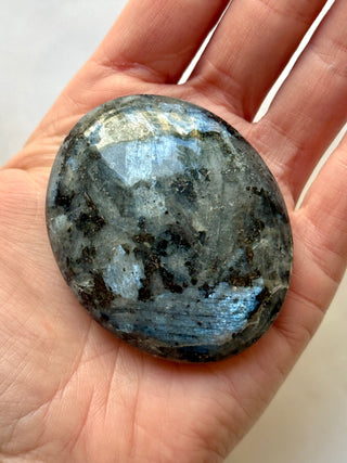 LARVIKITE PALM STONE (5) Palm stone The Crystal Avenues 