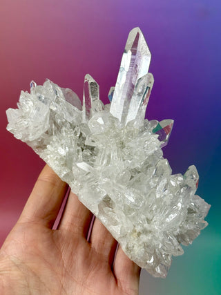 LEMURIAN QUARTZ CLUSTER (3) The Crystal Avenues 
