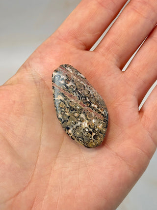 LEOPARD JASPER (1) Tumble Stone The Crystal Avenues 