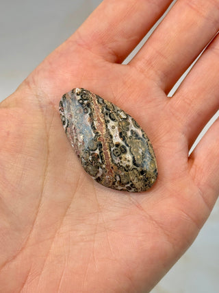 LEOPARD JASPER (1) Tumble Stone The Crystal Avenues 
