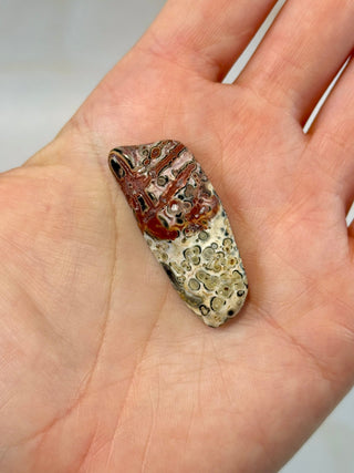 LEOPARD JASPER (2) Tumble Stone The Crystal Avenues 
