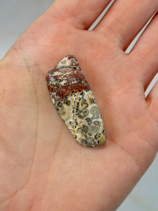 LEOPARD JASPER (2) Tumble Stone The Crystal Avenues 