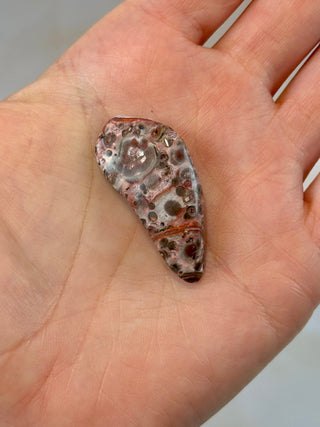 LEOPARD JASPER (3) Tumble Stone The Crystal Avenues 