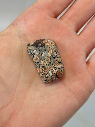 LEOPARD JASPER (4) Tumble Stone The Crystal Avenues 