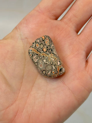 LEOPARD JASPER (4) Tumble Stone The Crystal Avenues 